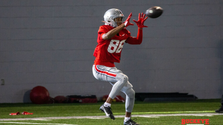Bryson Rodgers Ohio State Buckeyes Wide Receiver