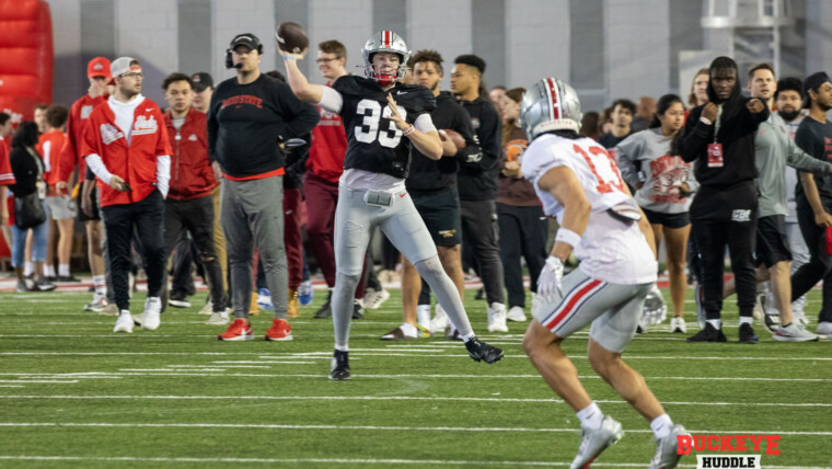 Ohio State quarterback Devin Brown