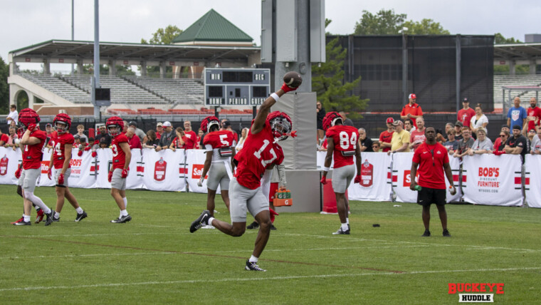 Ohio State football Carnell Tate one-handed catch