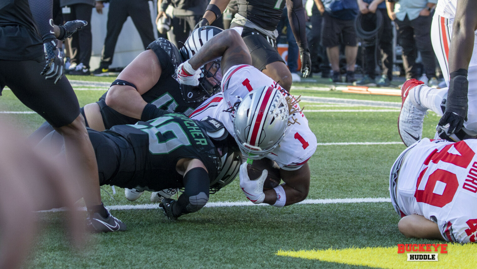 Ryan Day, Jim Knowles, Chip Kelly, Will Howard Talk Disappointment ...